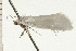  ( - 08-NSWHH-1049)  @12 [ ] CreativeCommons - Attribution (2009) Unspecified Centre for Biodiversity Genomics
