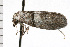  ( - 08-NSWHH-1062)  @12 [ ] CreativeCommons - Attribution (2009) Unspecified Centre for Biodiversity Genomics
