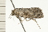  ( - 08-NSWHH-1067)  @13 [ ] CreativeCommons - Attribution (2009) Unspecified Centre for Biodiversity Genomics