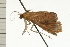  ( - 08-NSWHH-1088)  @12 [ ] CreativeCommons - Attribution (2009) Unspecified Centre for Biodiversity Genomics