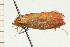  ( - 08-NSWHH-1102)  @12 [ ] CreativeCommons - Attribution (2009) Unspecified Centre for Biodiversity Genomics