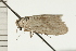  ( - 08-NSWHH-1119)  @12 [ ] CreativeCommons - Attribution (2009) Unspecified Centre for Biodiversity Genomics