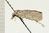  ( - 08-NSWHH-1128)  @12 [ ] CreativeCommons - Attribution (2009) Unspecified Centre for Biodiversity Genomics