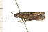  ( - 08-NSWHH-1188)  @13 [ ] CreativeCommons - Attribution (2009) Unspecified Centre for Biodiversity Genomics