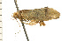  ( - 08-NSWHH-1205)  @13 [ ] CreativeCommons - Attribution (2009) Unspecified Centre for Biodiversity Genomics