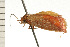  ( - 08-NSWHH-1212)  @13 [ ] CreativeCommons - Attribution (2009) Unspecified Centre for Biodiversity Genomics