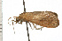  ( - 08-NSWHH-1266)  @13 [ ] CreativeCommons - Attribution (2009) Unspecified Centre for Biodiversity Genomics