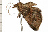  ( - 08-NSWHH-1268)  @14 [ ] CreativeCommons - Attribution (2009) Unspecified Centre for Biodiversity Genomics