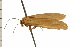  ( - 08-NSWHH-1386)  @12 [ ] CreativeCommons - Attribution (2009) Unspecified Centre for Biodiversity Genomics