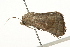  ( - 09-NSWHH-0155)  @11 [ ] CreativeCommons - Attribution (2010) Unspecified Centre for Biodiversity Genomics