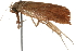  ( - 09-NSWHH-0793)  @12 [ ] CreativeCommons - Attribution (2010) Unspecified Centre for Biodiversity Genomics