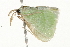  ( - 09-NSWHH-0749)  @14 [ ] CreativeCommons - Attribution (2010) Unspecified Centre for Biodiversity Genomics