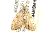  ( - 09-NSWHH-1001)  @12 [ ] CreativeCommons - Attribution (2010) Unspecified Centre for Biodiversity Genomics