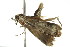  ( - 09-NSWHH-1677)  @13 [ ] CreativeCommons - Attribution (2010) Unspecified Centre for Biodiversity Genomics