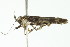  ( - 09-NSWHH-1681)  @13 [ ] CreativeCommons - Attribution (2010) Unspecified Centre for Biodiversity Genomics
