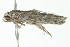  ( - 09-NSWHH-1690)  @12 [ ] CreativeCommons - Attribution (2010) Unspecified Centre for Biodiversity Genomics