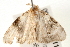  ( - 09-NSWHH-1174)  @13 [ ] CreativeCommons - Attribution (2010) Unspecified Centre for Biodiversity Genomics