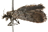  ( - 09-NSWHH-1207)  @12 [ ] CreativeCommons - Attribution (2010) Unspecified Centre for Biodiversity Genomics