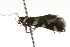  ( - 09-NSWHH-1254)  @13 [ ] CreativeCommons - Attribution (2010) Unspecified Centre for Biodiversity Genomics