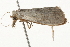  ( - 09-NSWHH-1276)  @12 [ ] CreativeCommons - Attribution (2010) Unspecified Centre for Biodiversity Genomics