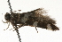  ( - 09-NSWHH-1324)  @12 [ ] CreativeCommons - Attribution (2010) Unspecified Centre for Biodiversity Genomics