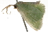  ( - 09-NSWHH-1333)  @13 [ ] CreativeCommons - Attribution (2010) Unspecified Centre for Biodiversity Genomics