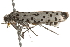  ( - 09-NSWHH-1396)  @12 [ ] CreativeCommons - Attribution (2010) Unspecified Centre for Biodiversity Genomics