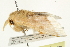  ( - BIOUG00909-A05)  @13 [ ] CreativeCommons - Attribution (2011) CBG Photography Group Centre for Biodiversity Genomics