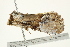  ( - BIOUG00909-C09)  @13 [ ] CreativeCommons - Attribution (2011) CBG Photography Group Centre for Biodiversity Genomics