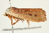  ( - BIOUG00909-E08)  @14 [ ] CreativeCommons - Attribution (2011) CBG Photography Group Centre for Biodiversity Genomics