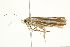  ( - BIOUG00911-D12)  @13 [ ] CreativeCommons - Attribution (2011) CBG Photography Group Centre for Biodiversity Genomics