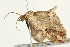  ( - BIOUG00911-H02)  @12 [ ] CreativeCommons - Attribution (2011) CBG Photography Group Centre for Biodiversity Genomics