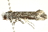  ( - BIOUG00953-C02)  @13 [ ] CreativeCommons - Attribution (2011) CBG Photography Group Centre for Biodiversity Genomics