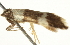  ( - BIOUG00953-G04)  @12 [ ] CreativeCommons - Attribution (2011) CBG Photography Group Centre for Biodiversity Genomics