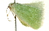  ( - BIOUG00954-B11)  @12 [ ] CreativeCommons - Attribution (2011) CBG Photography Group Centre for Biodiversity Genomics