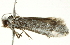  ( - BIOUG00954-D03)  @12 [ ] CreativeCommons - Attribution (2011) CBG Photography Group Centre for Biodiversity Genomics