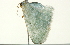  ( - BIOUG00944-B08)  @12 [ ] CreativeCommons - Attribution (2011) CBG Photography Group Centre for Biodiversity Genomics