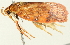  ( - BIOUG00944-D03)  @13 [ ] CreativeCommons - Attribution (2011) CBG Photography Group Centre for Biodiversity Genomics