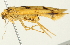  ( - BIOUG00944-D06)  @12 [ ] CreativeCommons - Attribution (2011) CBG Photography Group Centre for Biodiversity Genomics