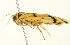  ( - BIOUG00944-F08)  @12 [ ] CreativeCommons - Attribution (2011) CBG Photography Group Centre for Biodiversity Genomics