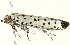  ( - BIOUG00944-H01)  @12 [ ] CreativeCommons - Attribution (2011) CBG Photography Group Centre for Biodiversity Genomics