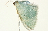  ( - BIOUG00945-D06)  @12 [ ] CreativeCommons - Attribution (2011) CBG Photography Group Centre for Biodiversity Genomics