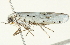  ( - BIOUG00945-F06)  @12 [ ] CreativeCommons - Attribution (2011) CBG Photography Group Centre for Biodiversity Genomics