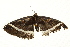  ( - BIOUG00961-A07)  @12 [ ] CreativeCommons - Attribution (2011) CBG Photography Group Centre for Biodiversity Genomics