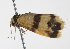  ( - BIOUG00955-B04)  @12 [ ] CreativeCommons - Attribution (2011) CBG Photography Group Centre for Biodiversity Genomics