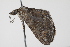  ( - BIOUG00955-G02)  @13 [ ] CreativeCommons - Attribution (2011) CBG Photography Group Centre for Biodiversity Genomics