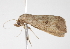  ( - BIOUG00956-C10)  @12 [ ] CreativeCommons - Attribution (2011) CBG Photography Group Centre for Biodiversity Genomics
