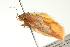  ( - BIOUG00956-D11)  @13 [ ] CreativeCommons - Attribution (2011) CBG Photography Group Centre for Biodiversity Genomics