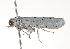  ( - BIOUG00956-G08)  @12 [ ] CreativeCommons - Attribution (2011) CBG Photography Group Centre for Biodiversity Genomics
