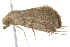  ( - BIOUG00950-G05)  @12 [ ] CreativeCommons - Attribution (2011) CBG Photography Group Centre for Biodiversity Genomics
